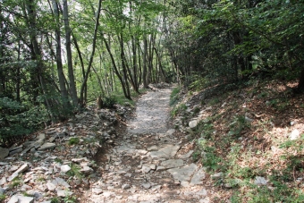 SCHWEIZ, Monte San Giorgio, Weltkulturerbe der UNESCO